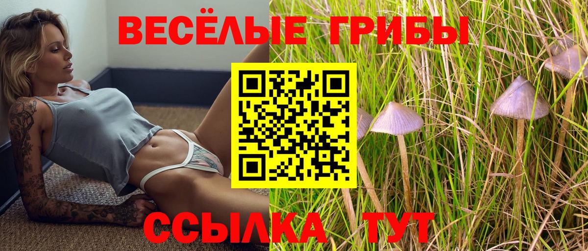 Галлюциногенные грибы MAGIC MUSHROOMS Павловский Посад