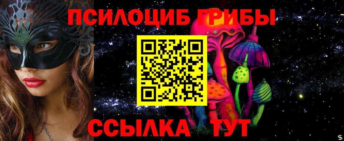 Павловский Посад  Псилоцибиновые грибы Magic Shrooms  Вход с VPN 