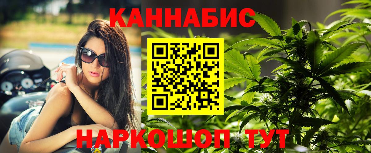 Бошки марихуана конопля Павловский Посад